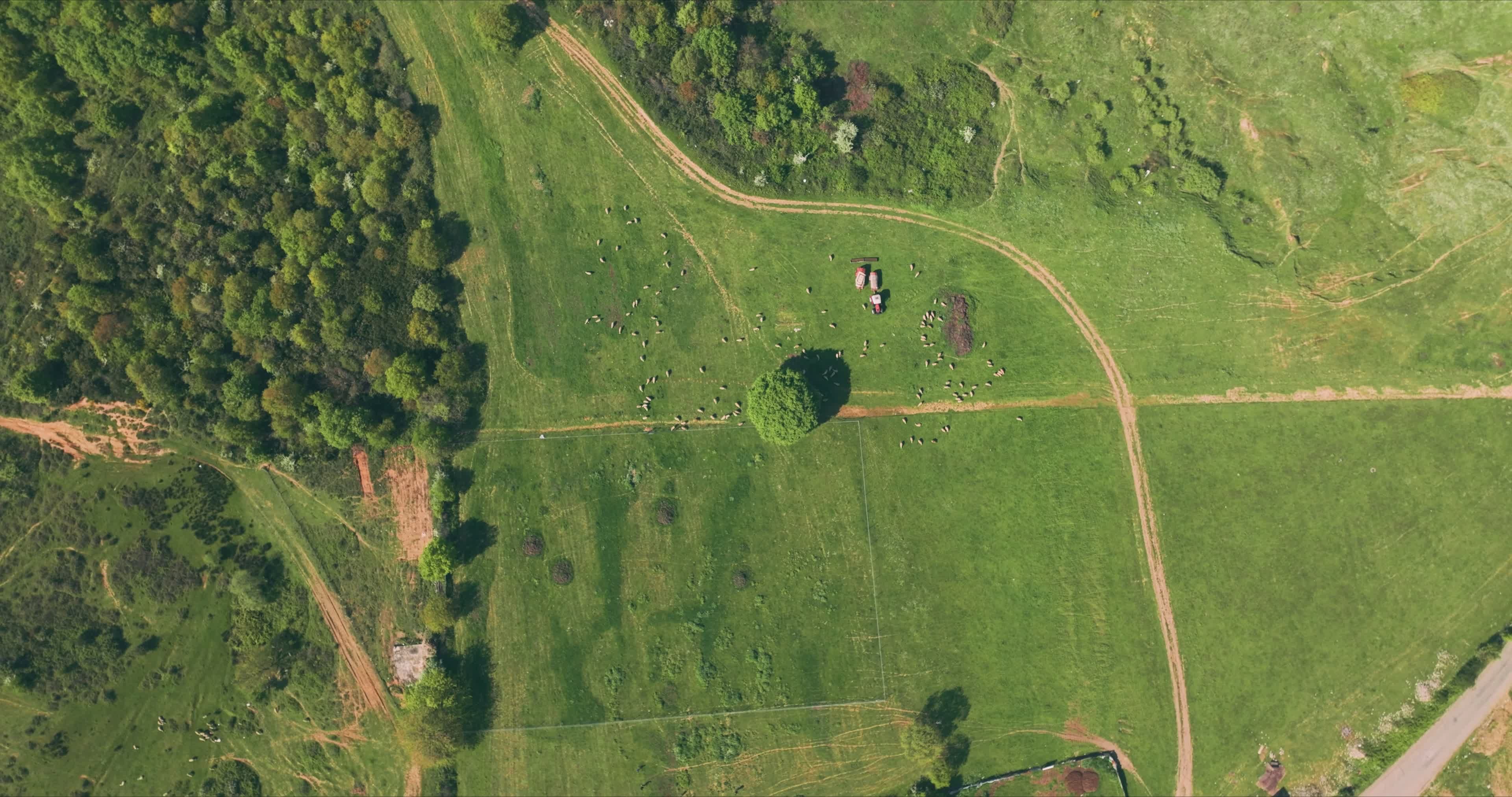 Lush Green Landscape Aerial View in Summer Free Stock Video Footage ...