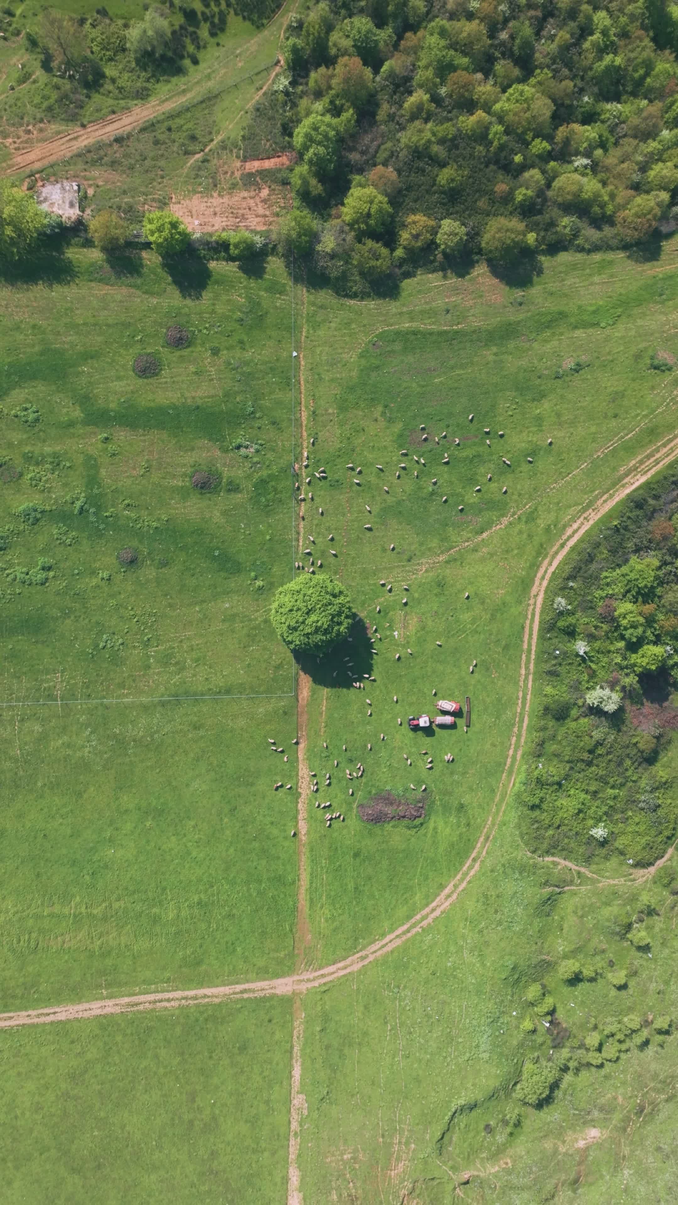 Aerial View of Tranquil Green Countryside Free Stock Video Footage ...