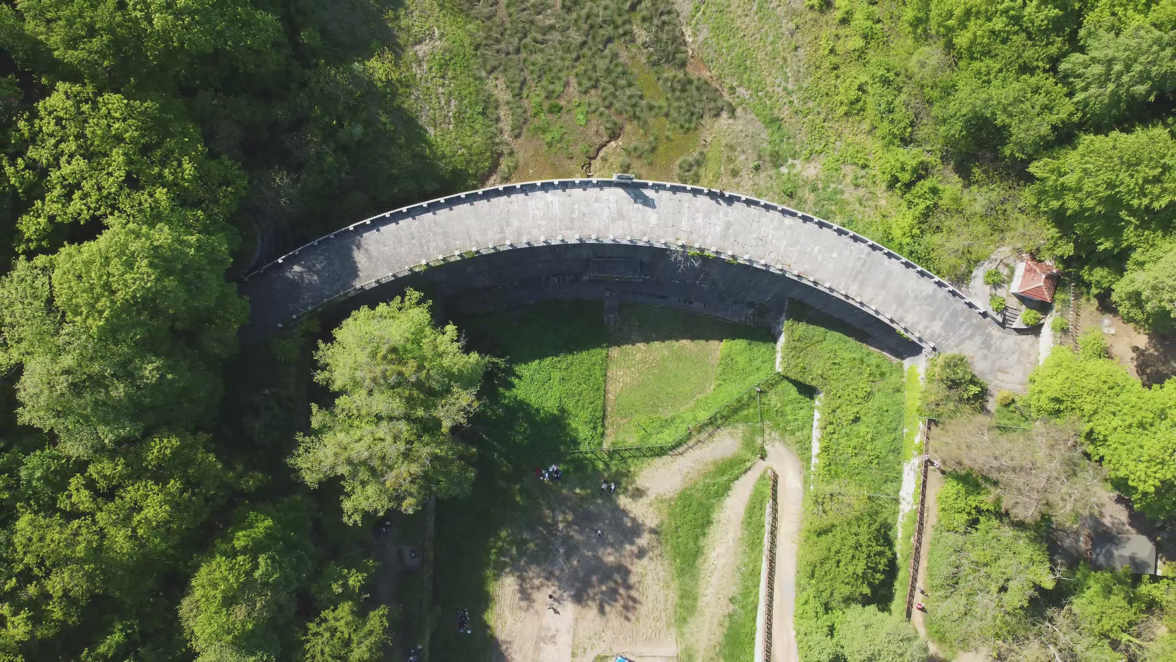 Stunning Aerial View of Lush Forest Pathway Free Stock Video Footage ...