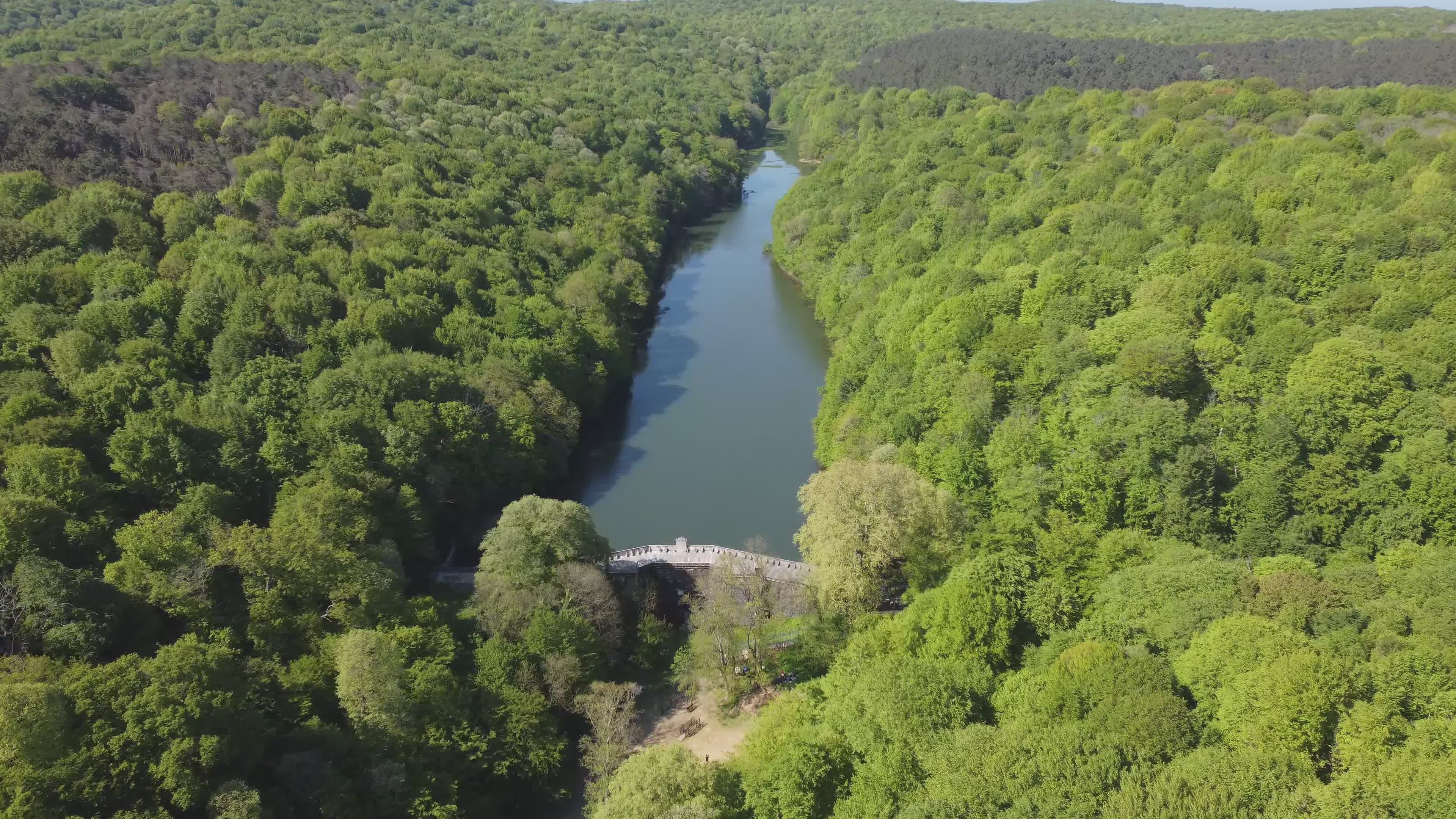 Aerial View of Lush Green Forest with River Free Stock Video Footage ...