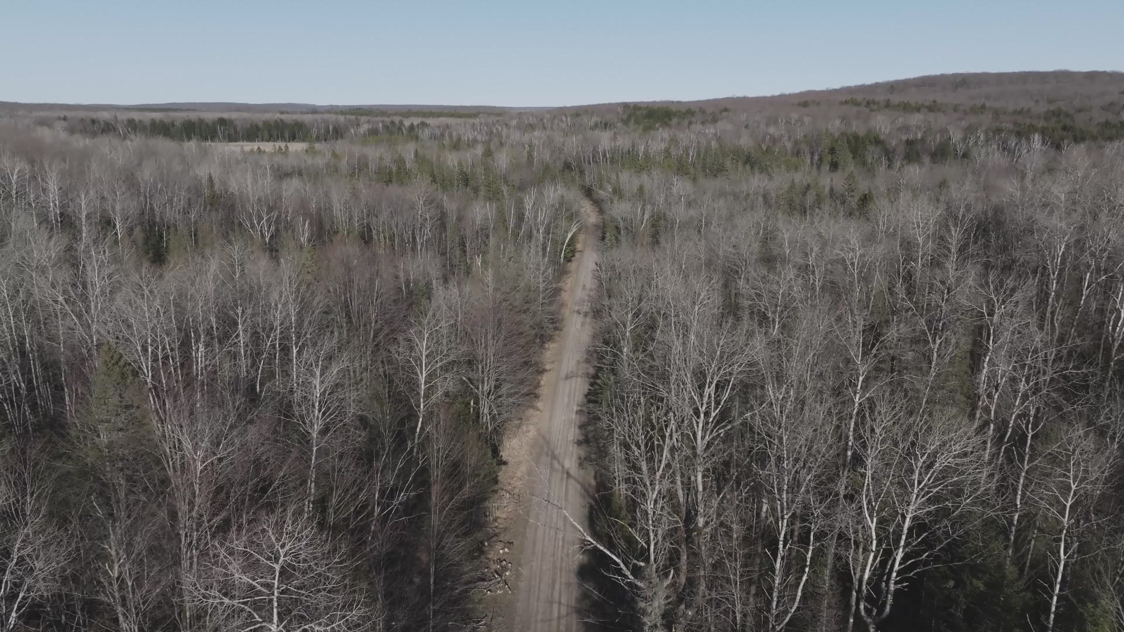 Aerial View of Wisconsin Forest Pathway in Spring Free Stock Video ...