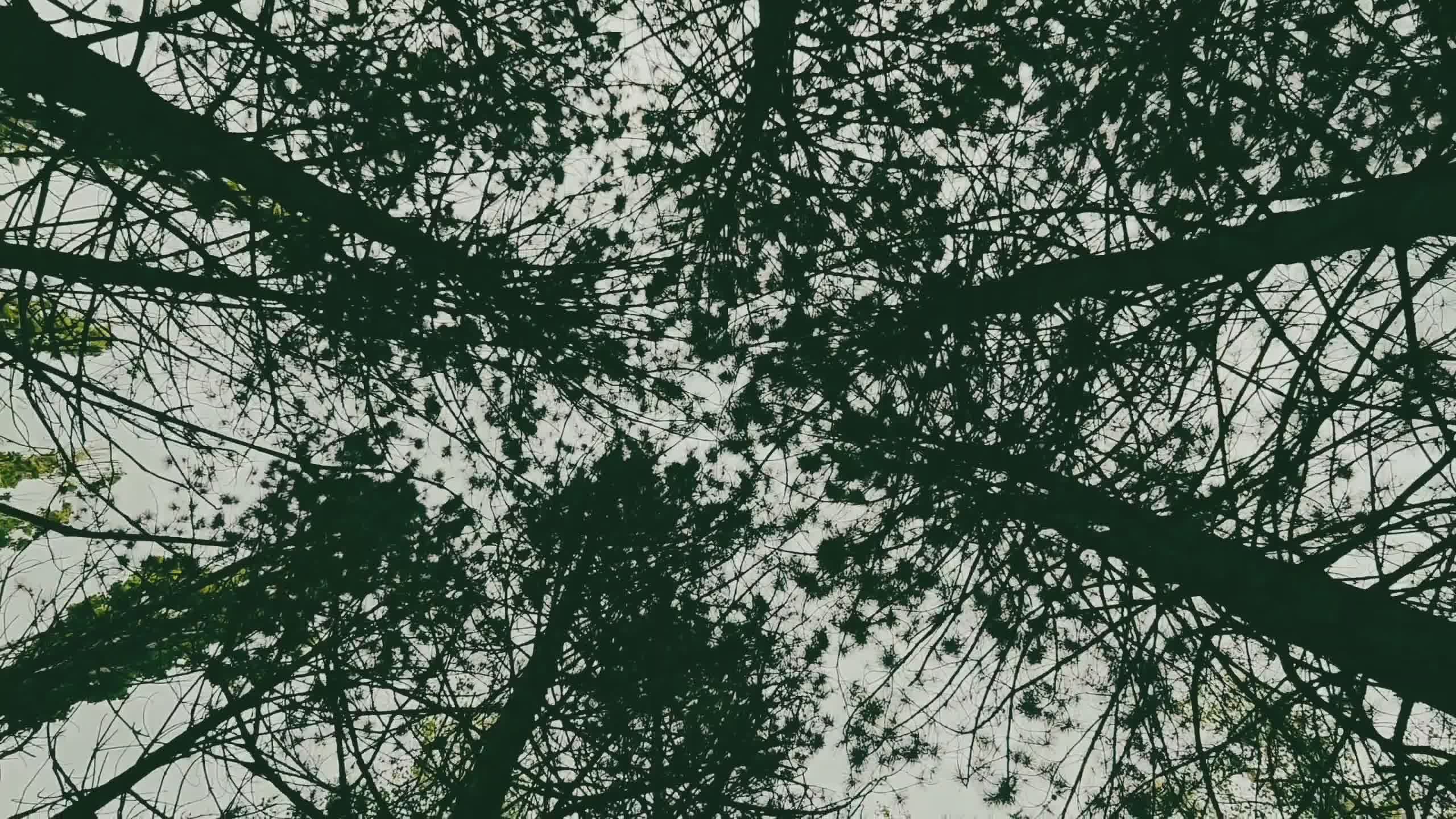 Video by Doctor Unface