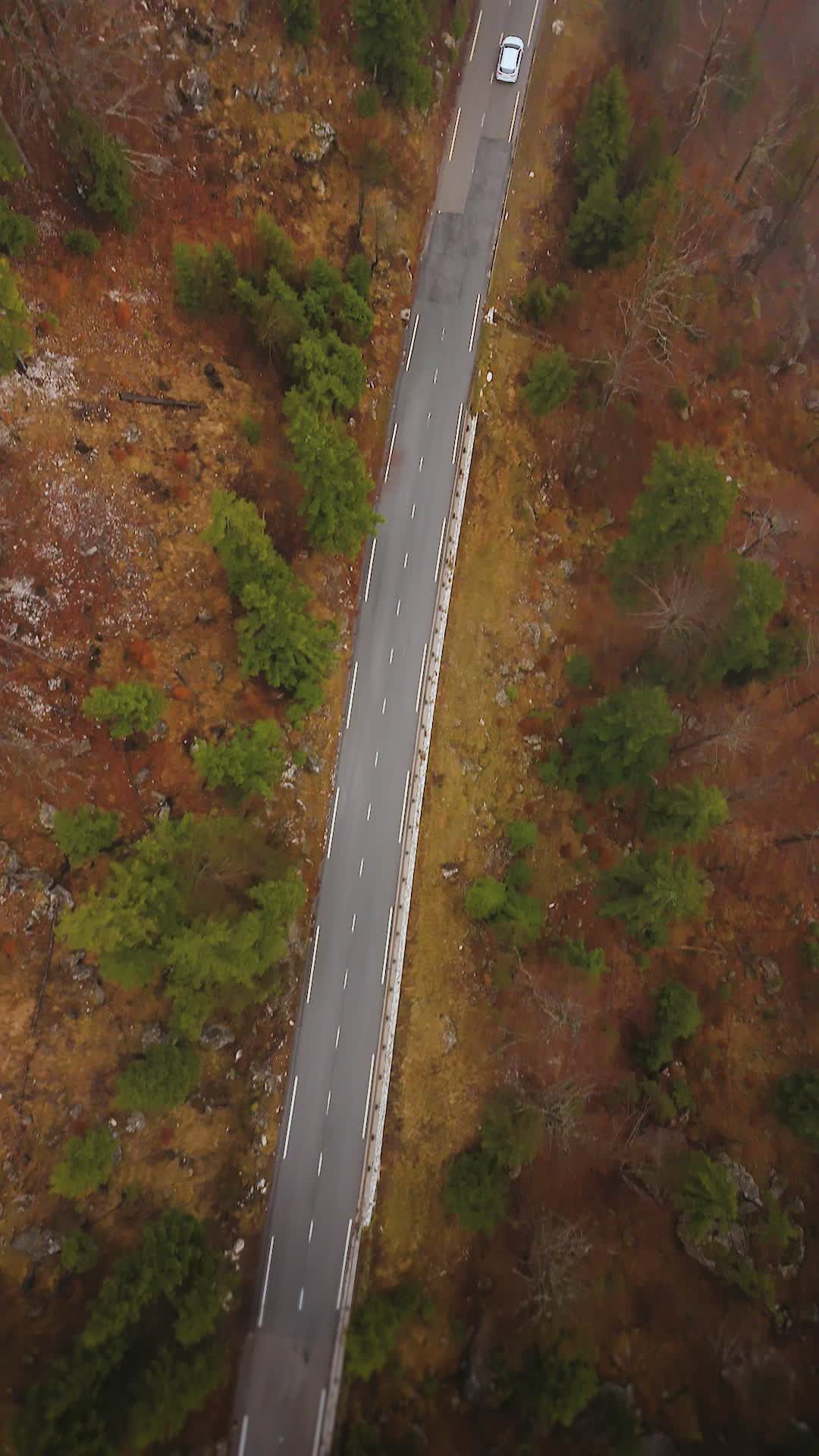 Scenic Aerial View of Mountain Road in Autumn Free Stock Video Footage ...