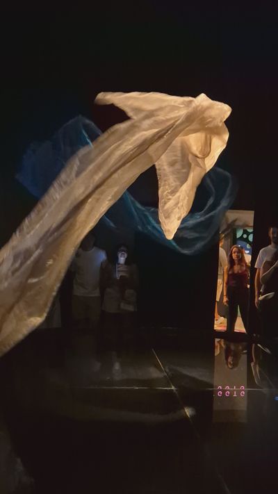 Marija Vlasceva's abstract art motion video