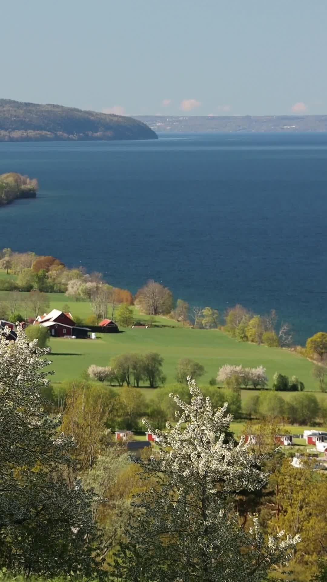 scenic view of swedish countryside and lake 31946198
