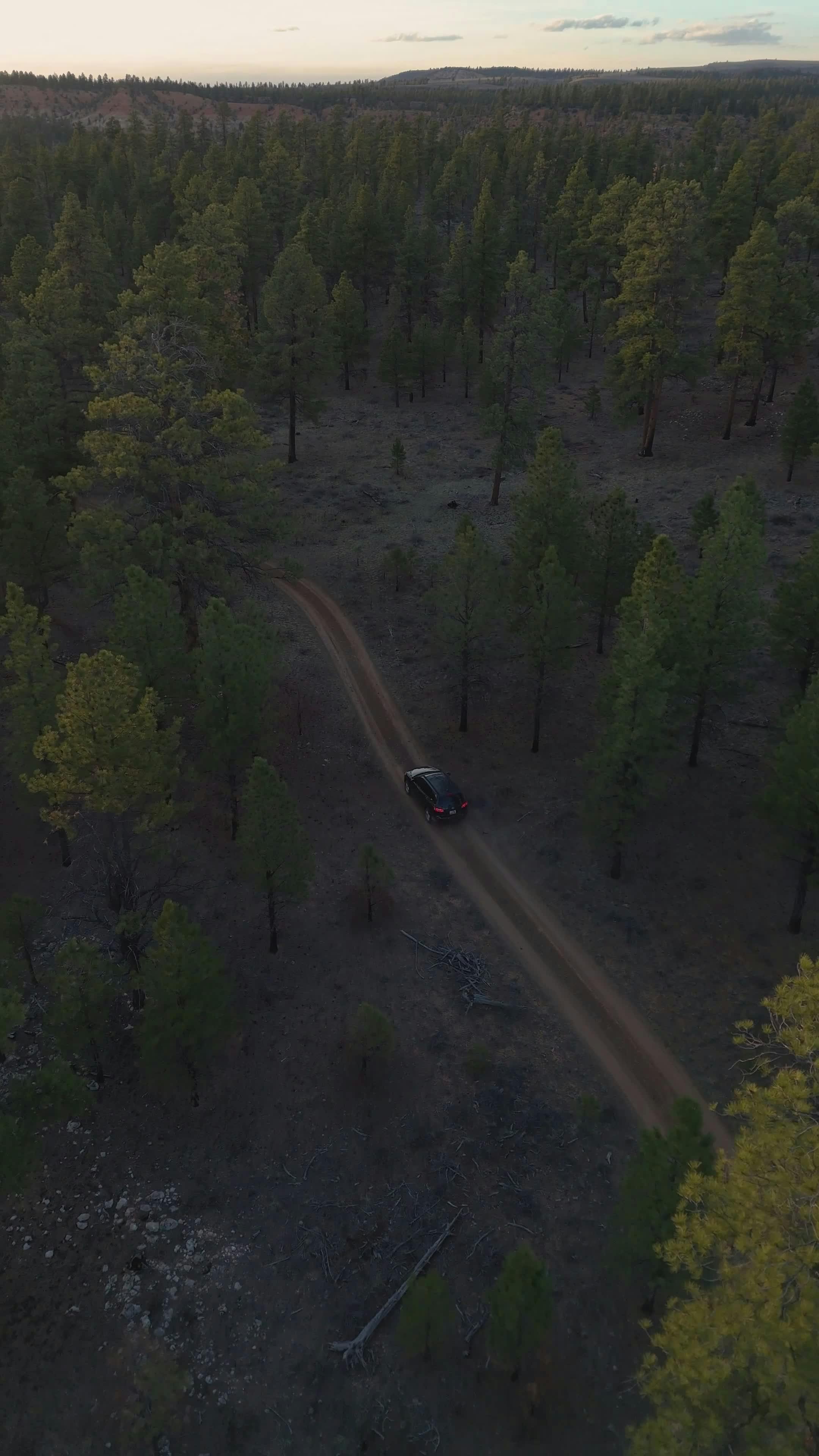 Mom+Sucks+Off+Son Videos, Download The BEST Free 4k Stock Video Footage & Mom+Sucks+Off+Son HD