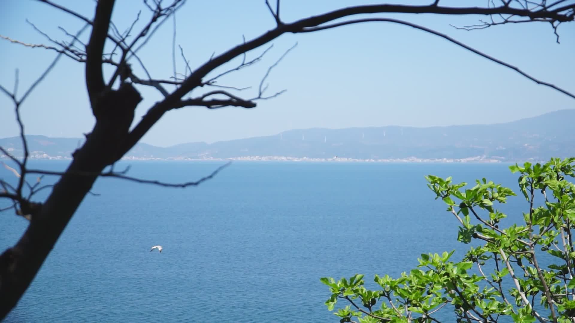 Video by Cihan Çimen