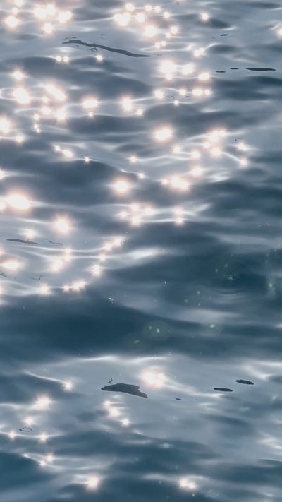 Ahmed ؜'s fluid simulation art video