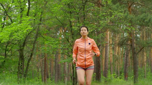 Eine Frau, Die Im Wald Joggt