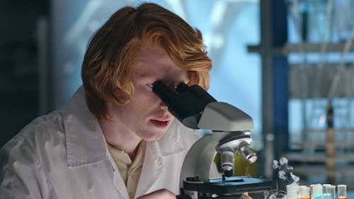 Woman Looking Through A Microscope