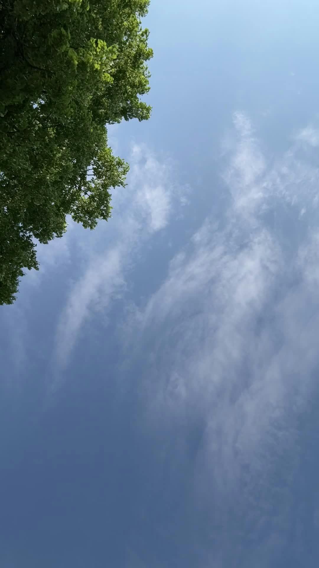 Video by Bav Vadgama