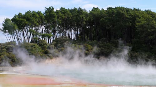 Hot Springs Resort Beside The Forest