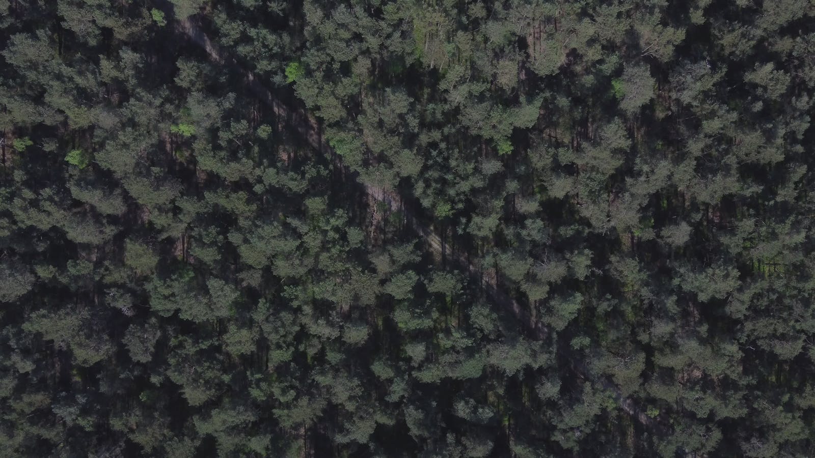 Uncut+Maza Videos, Download The BEST Free 4k Stock Video Footage