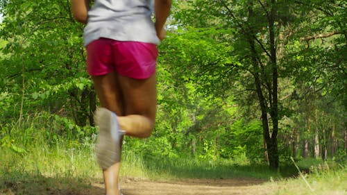 Group Of Women Running In The Woods