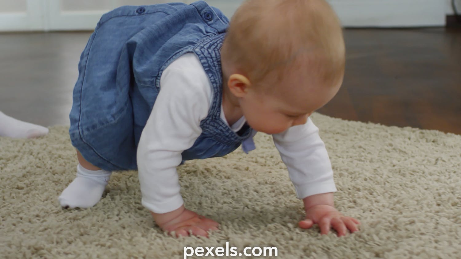 1500px x 1000px - Baby Videos, Download The BEST Free 4k Stock Video Footage & Baby HD Video  Clips