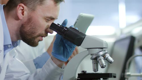 Scientist Looking Through A Microscope While Having A Discussion With Her Colleague