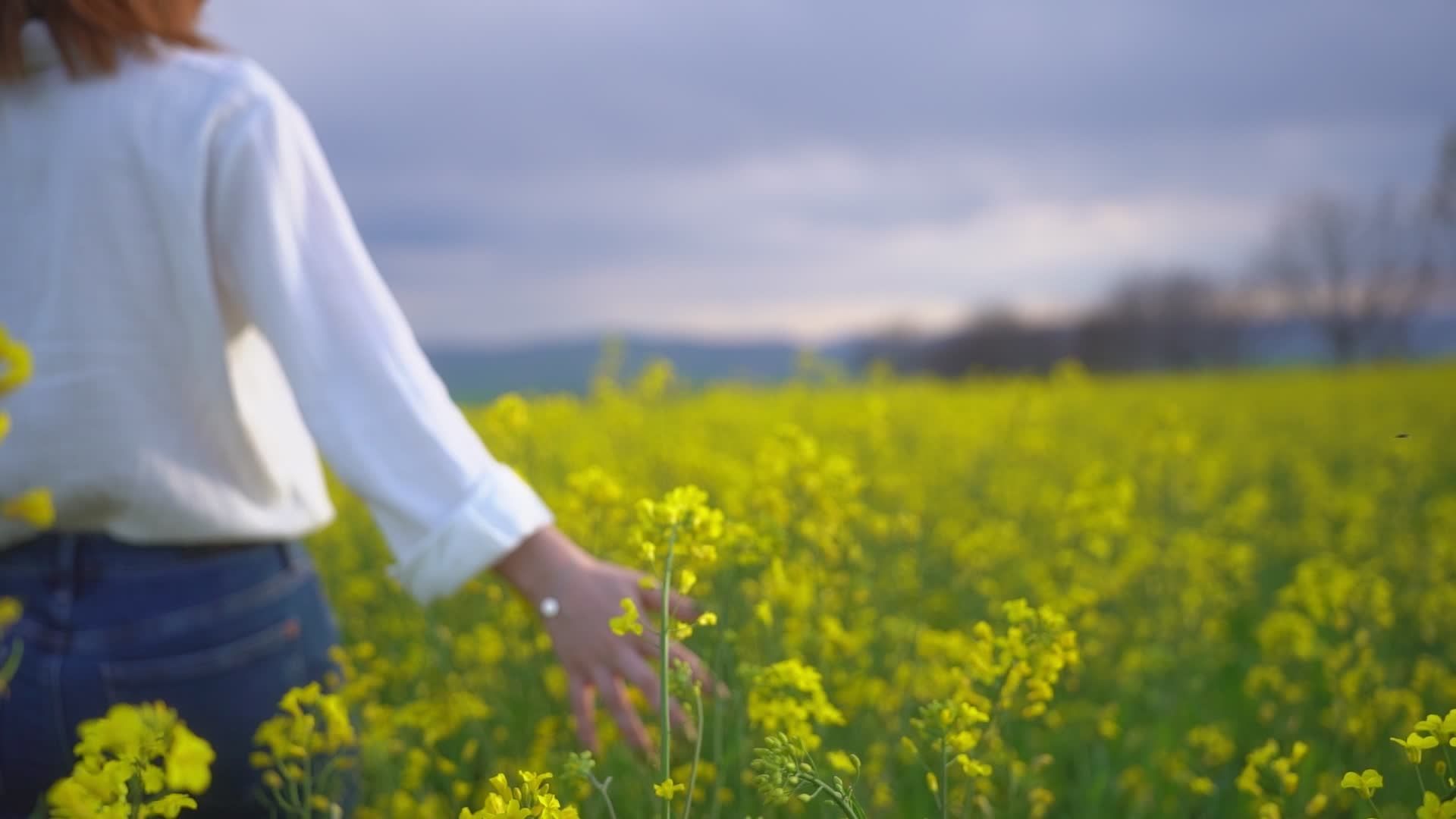 Woman Strolling Through Lush Spring Flowers Free Stock Video Footage ...