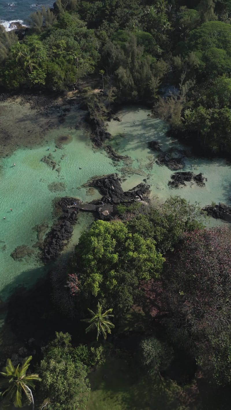 Stunningly+Beautiful+Naked+Women Videos, Download The BEST Free 4k