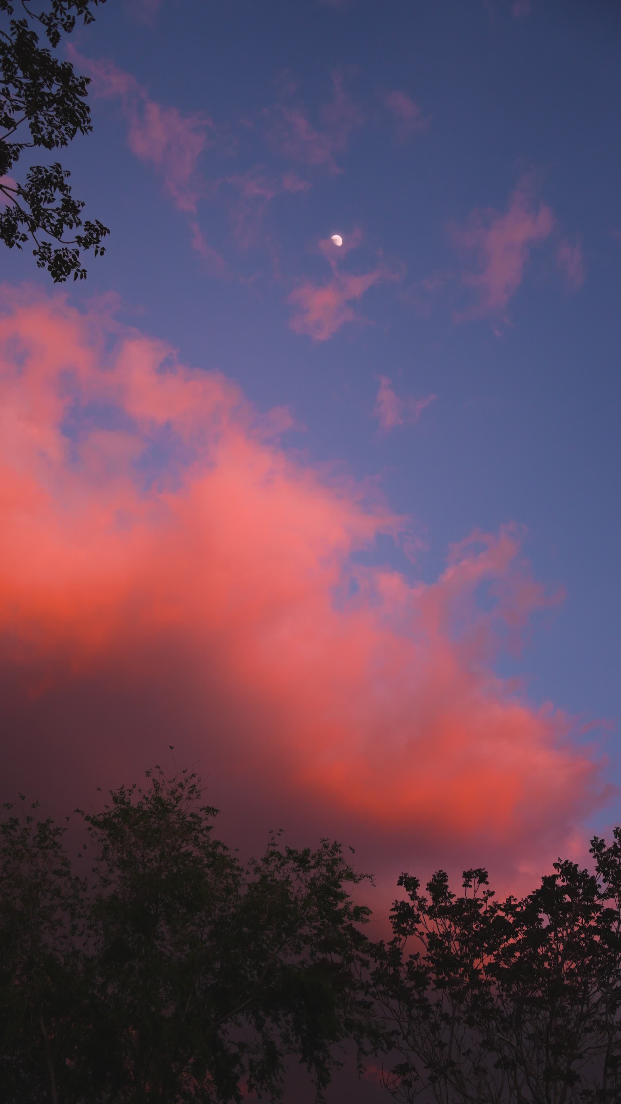 Moon With Cloud Videos Download The Best Free 4k Stock Video Footage