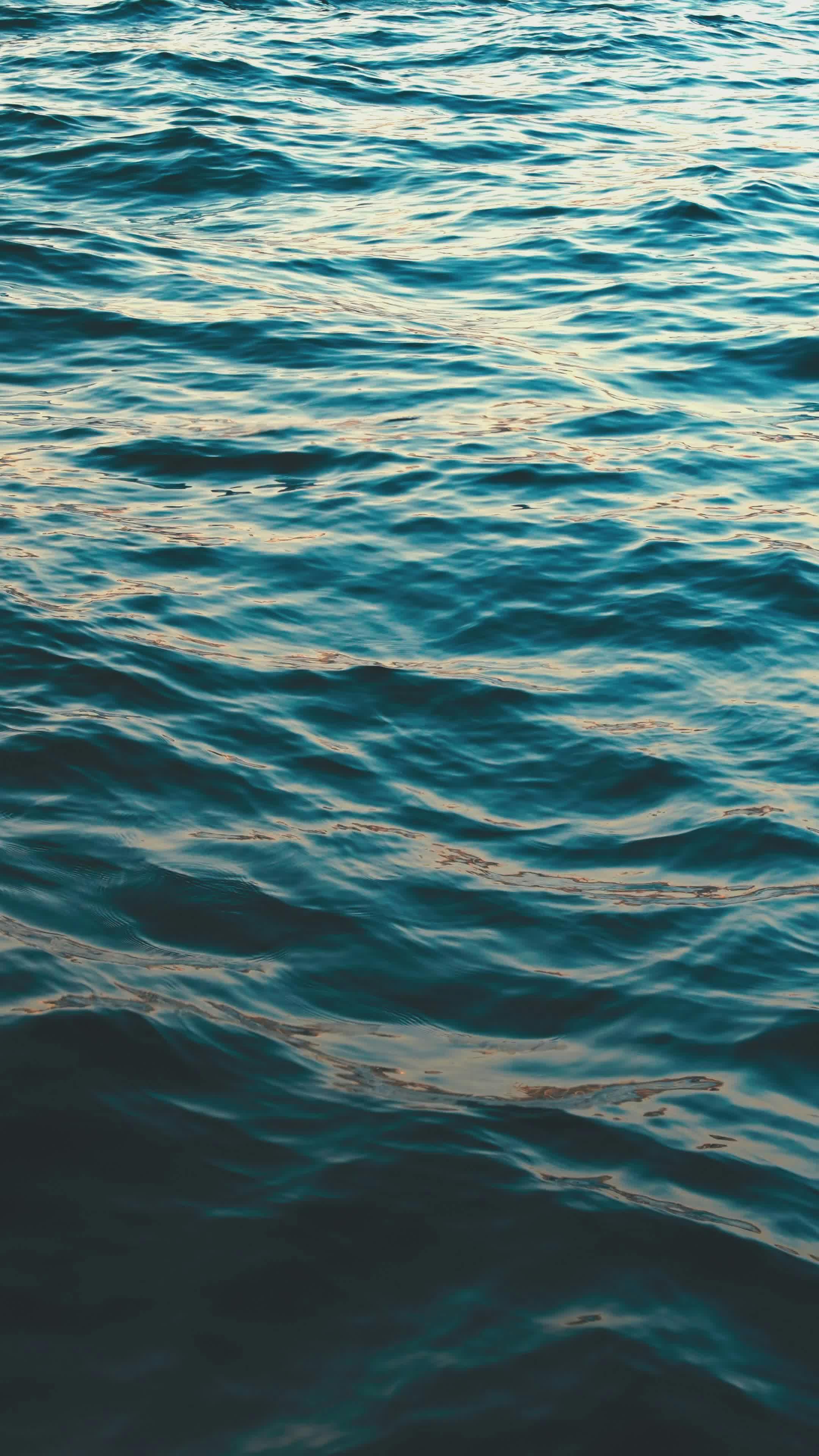 Video by Fatih Berat Örer