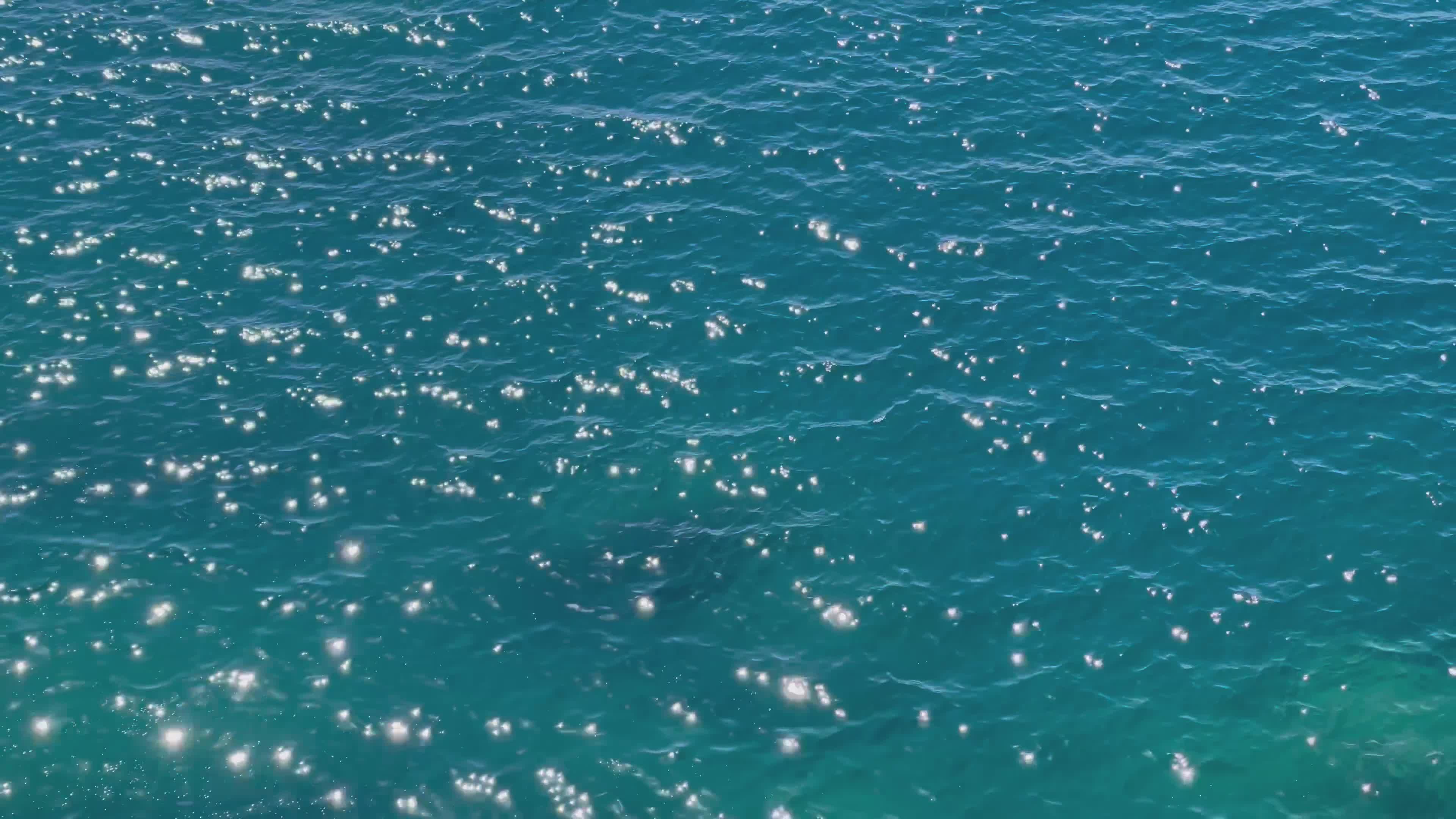 Sparkling Blue Ocean Waves with Sunlight Free Stock Video Footage ...