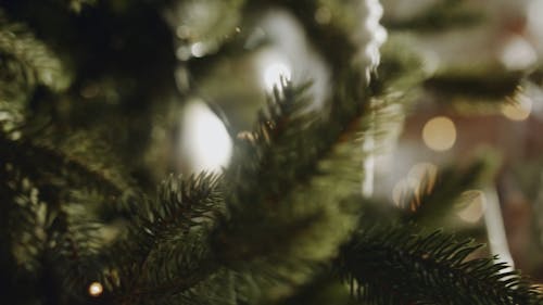 Christmas Tree Hologram Stock Footage Video (100% Royalty-free) 33106879