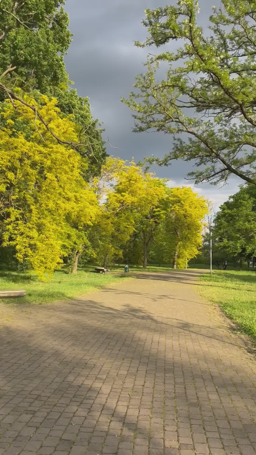 Scenic Milan Park Walk in Springtime Free Stock Video Footage, Royalty ...