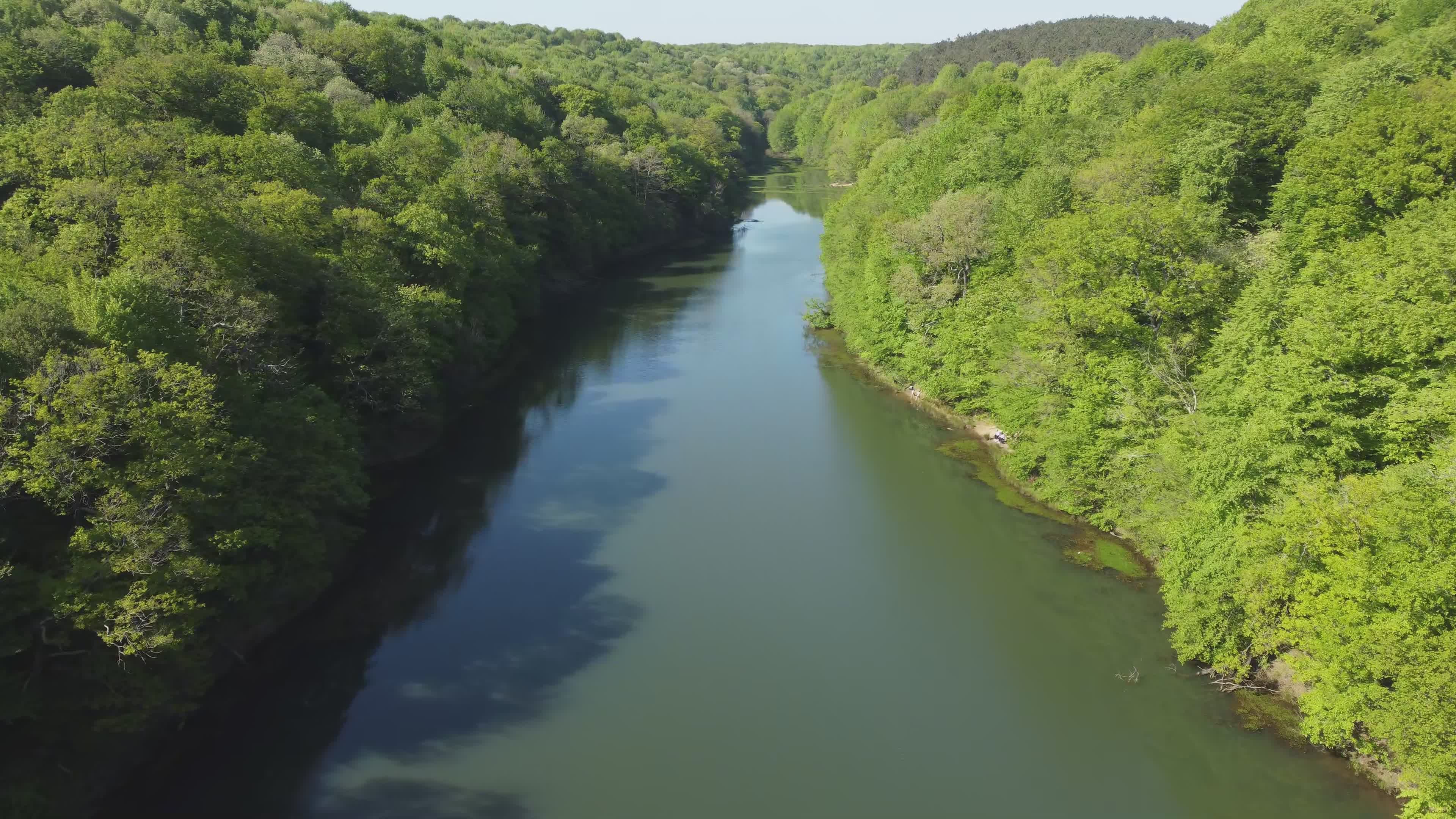 Serene Aerial View of Forest River Landscape Free Stock Video Footage ...