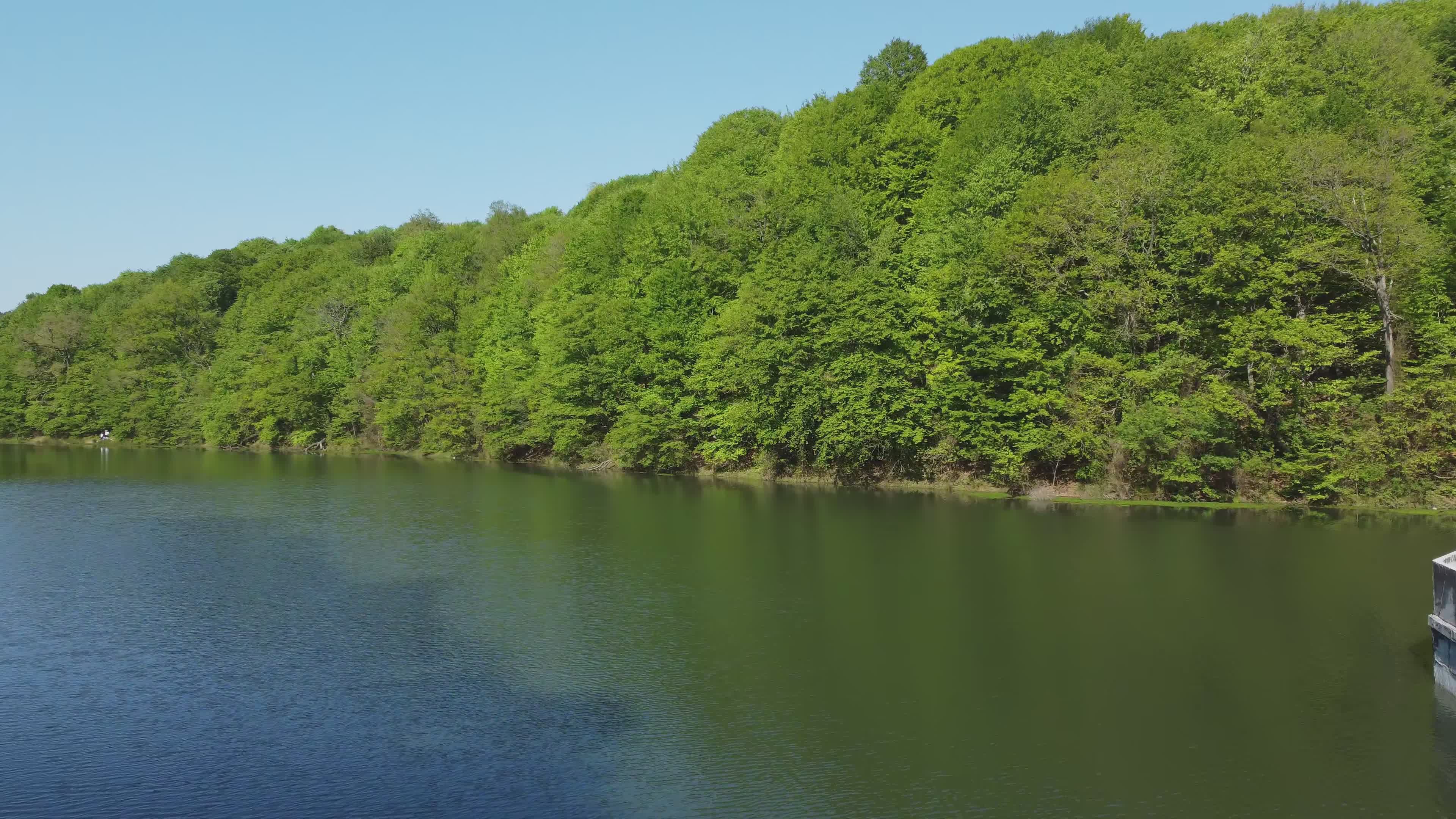 Serene Aerial View of Lush Green Forest and Lake Free Stock Video ...