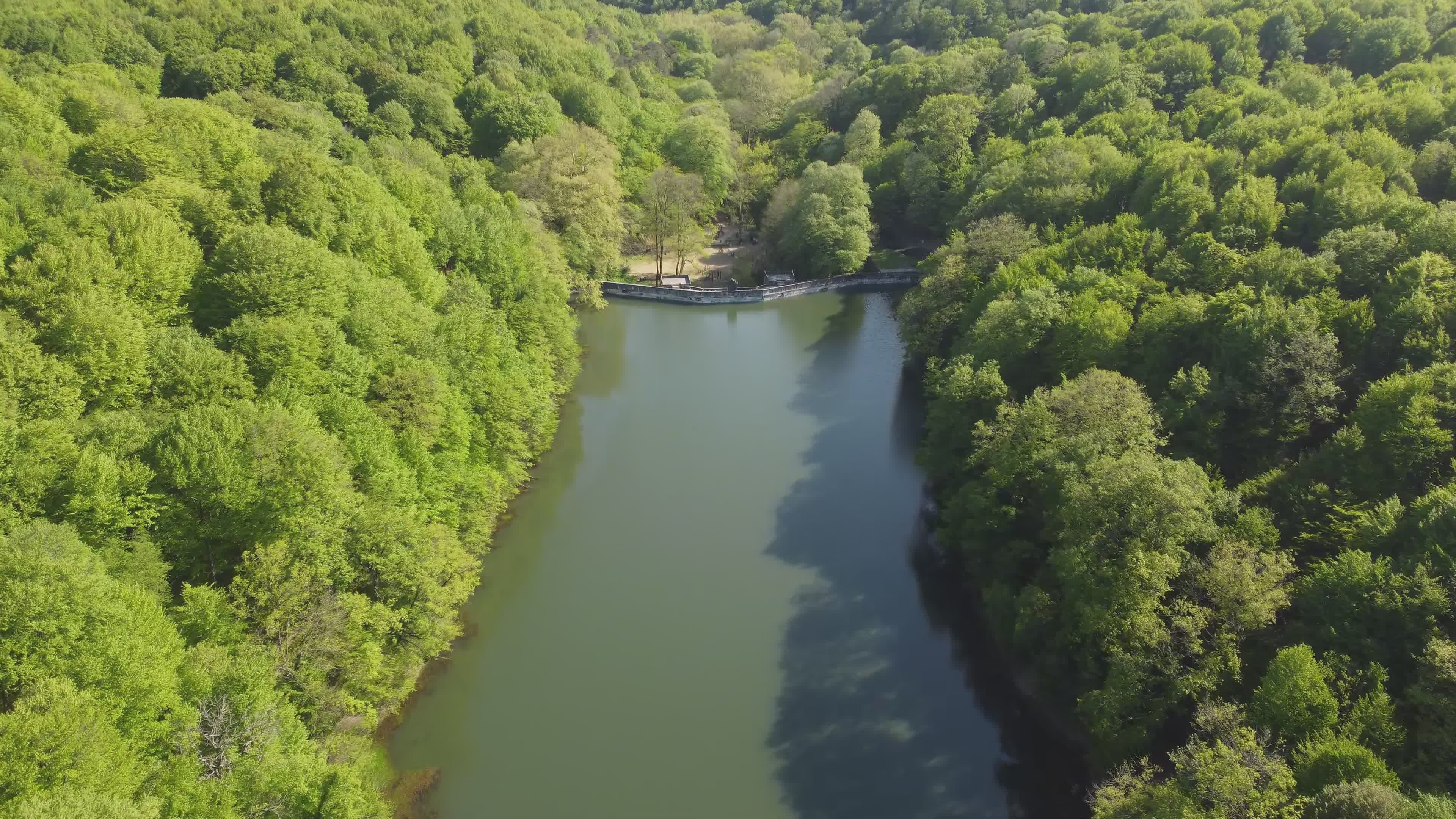Stunning Aerial View of Lush Green Forest and Lake Free Stock Video ...