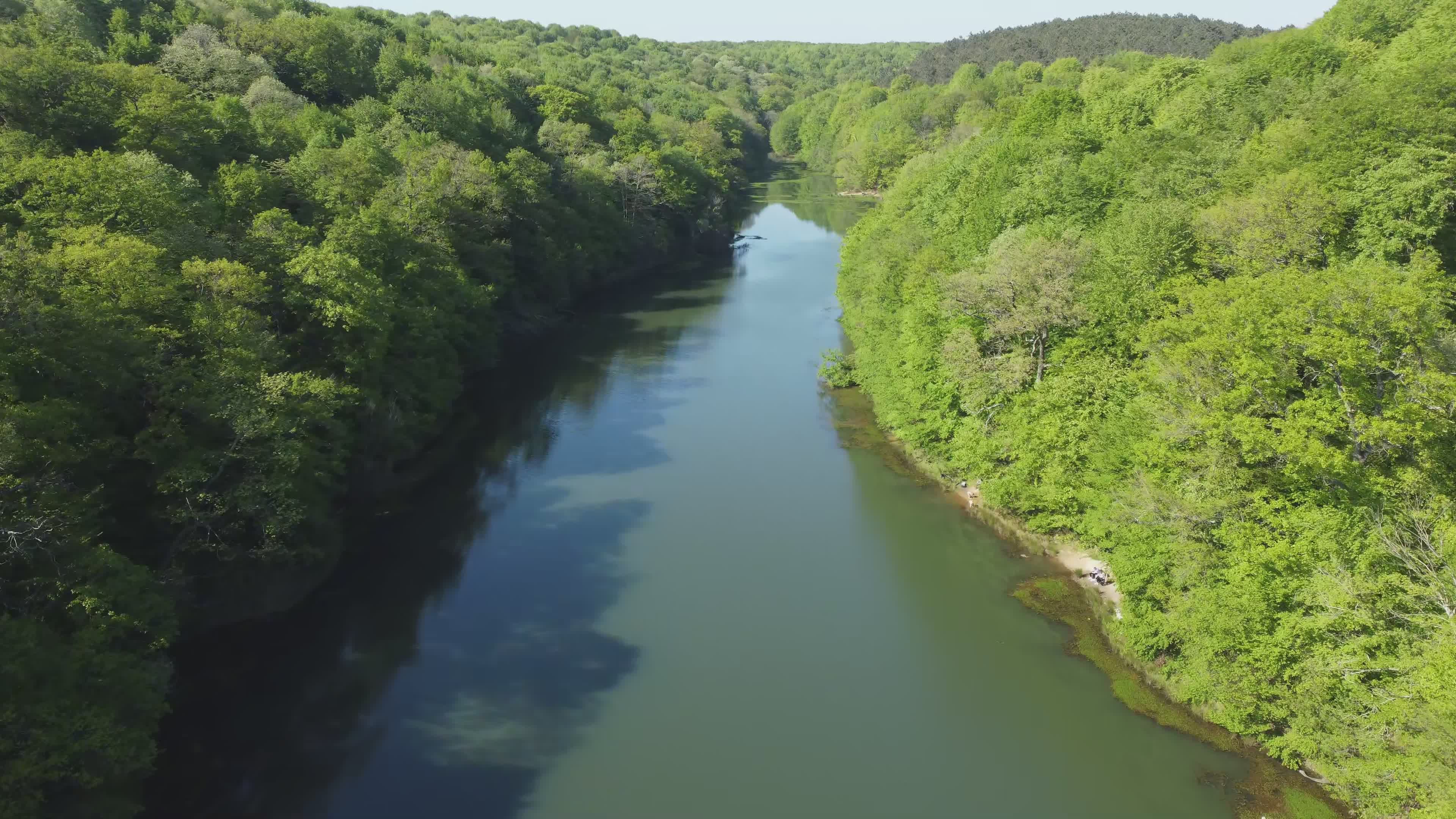 Lush Green Forest River Aerial View Free Stock Video Footage, Royalty ...