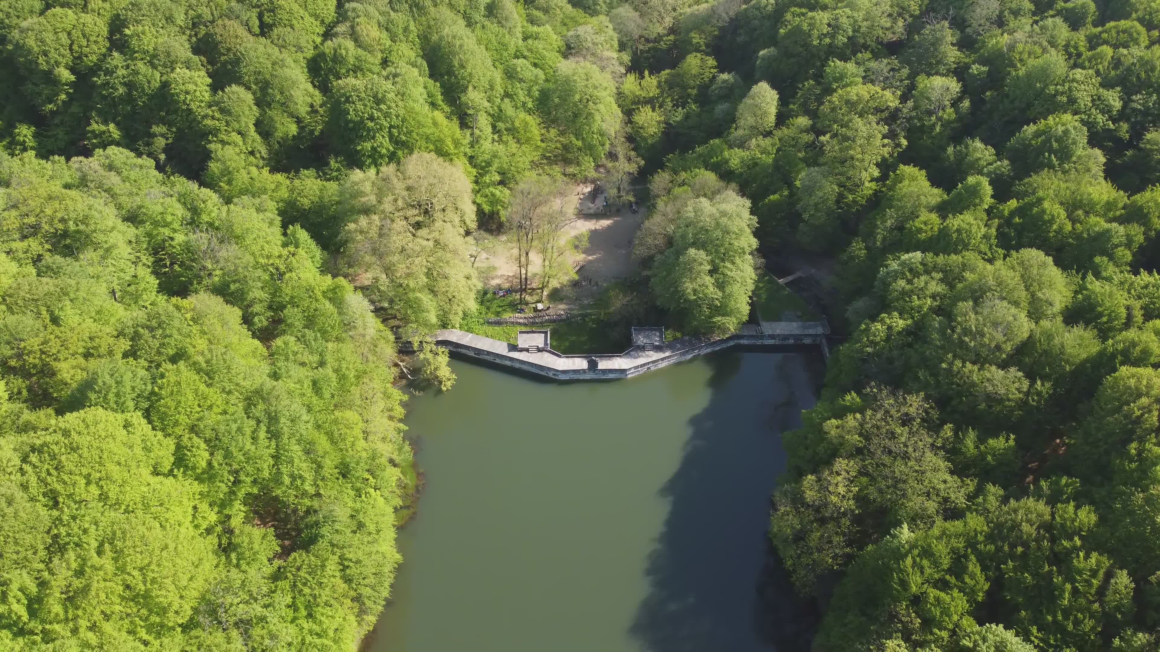 4K Aerial View of Lush Green Forest and Lake Free Stock Video Footage ...