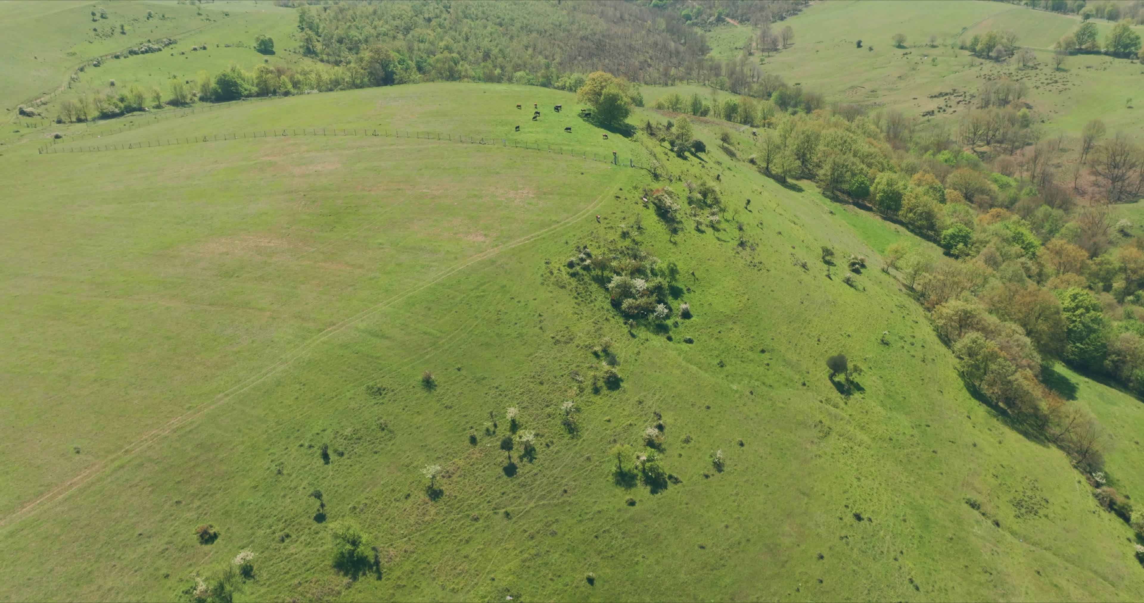 Serene Aerial View of Rolling Green Hills Free Stock Video Footage ...