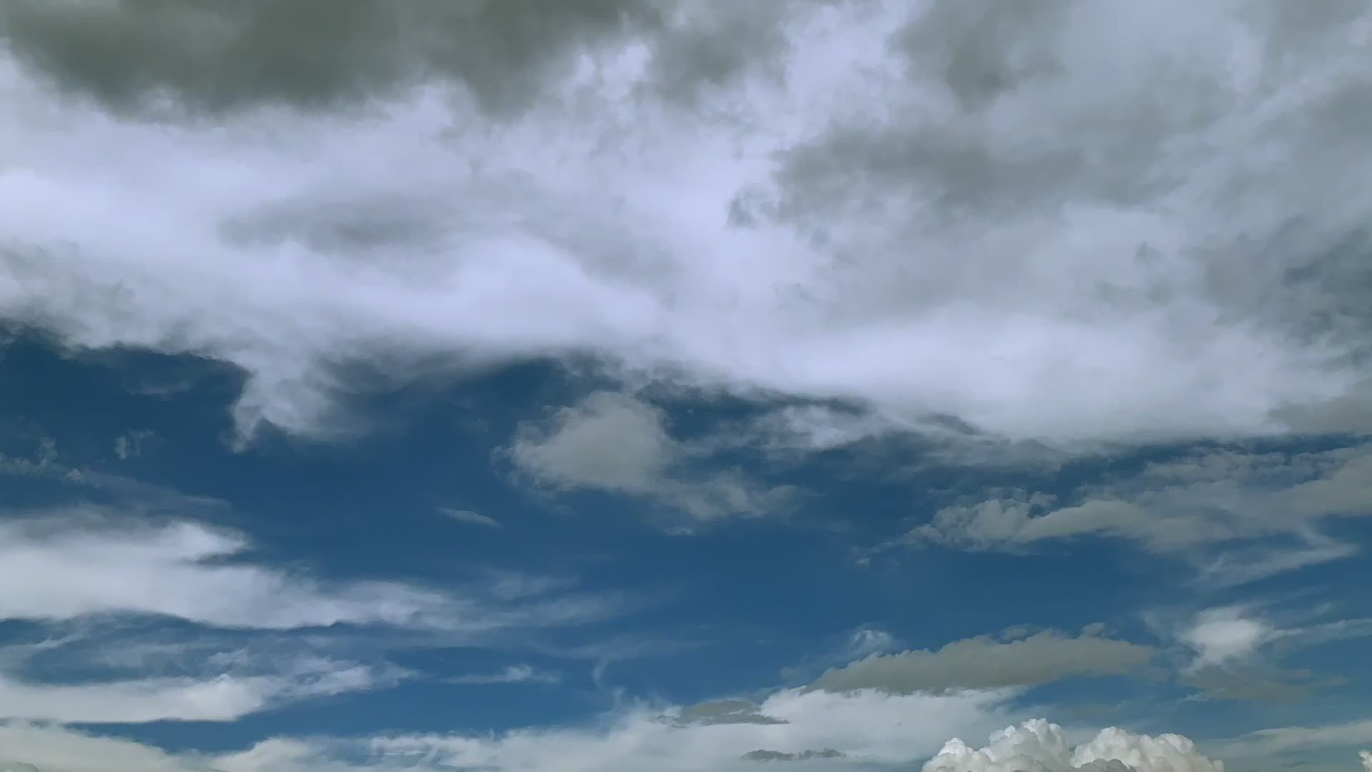 Video by Arunangshu Banerjee