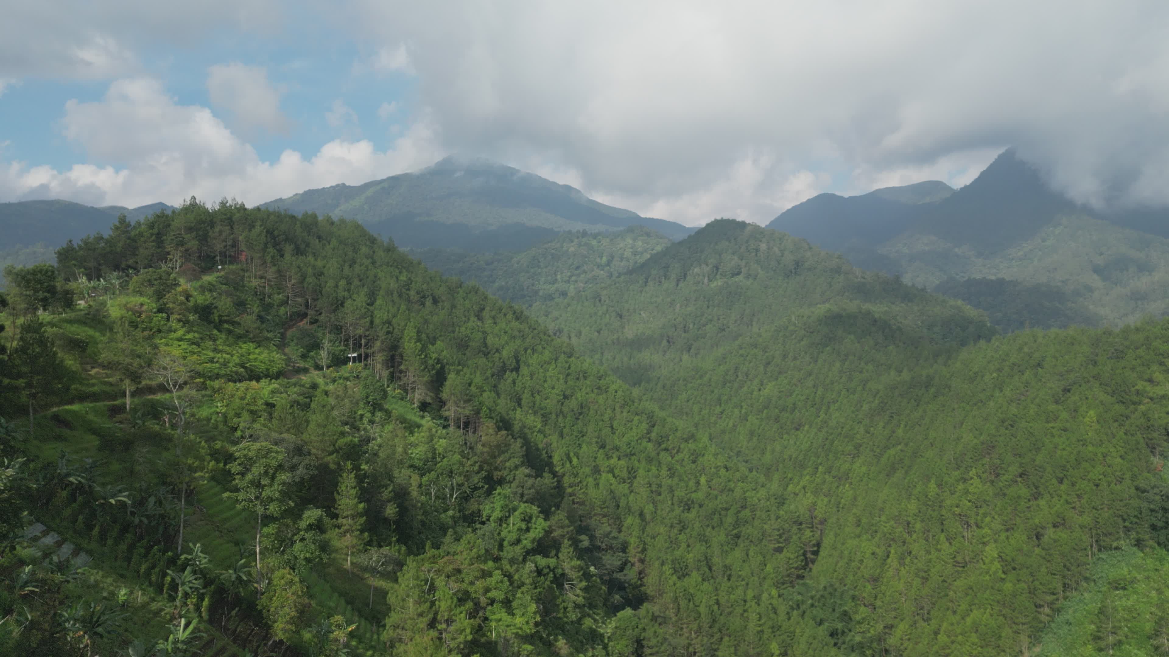 Aerial View of Lush Indonesian Landscape Free Stock Video Footage ...