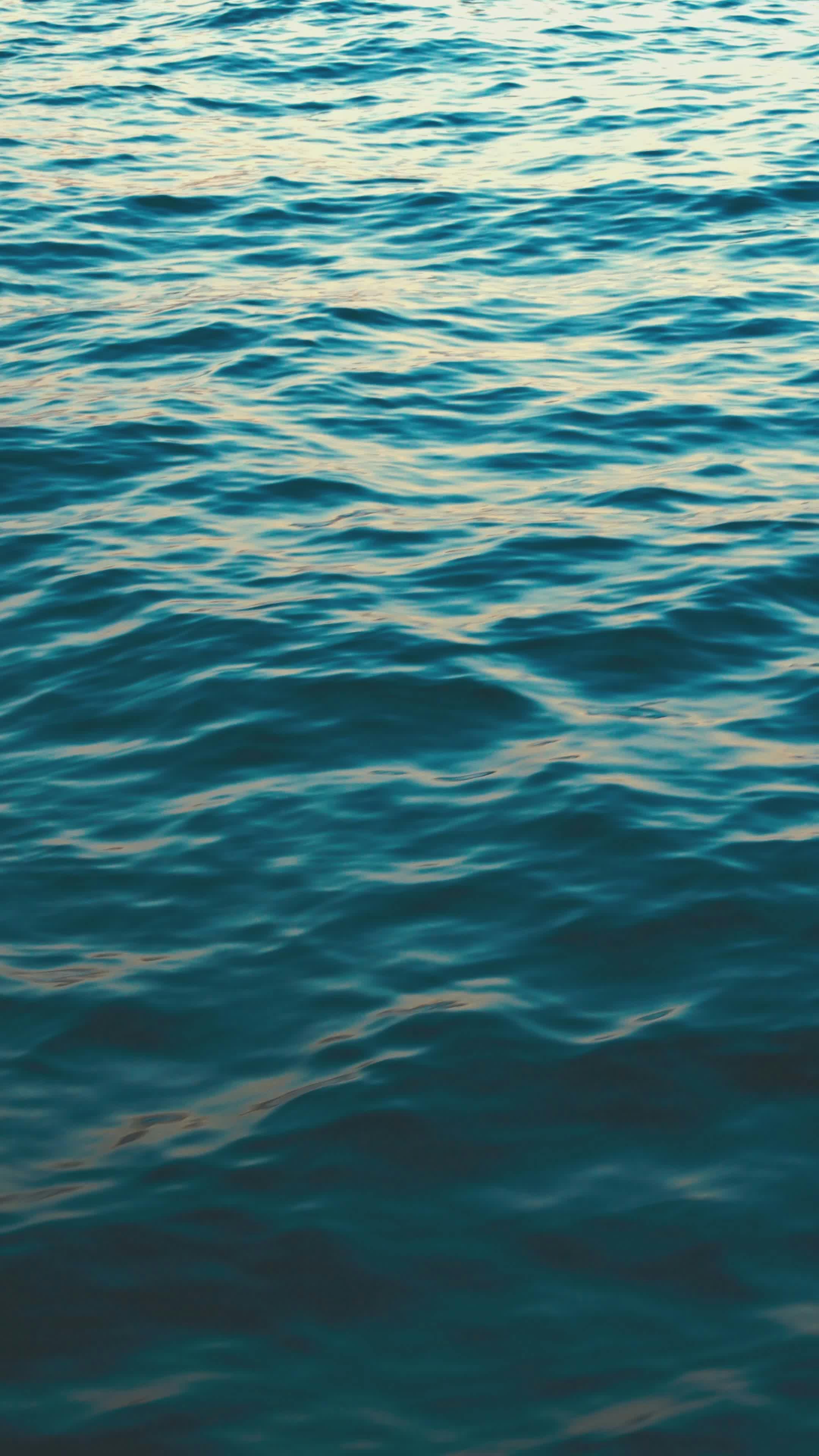 Video by Fatih Berat Örer