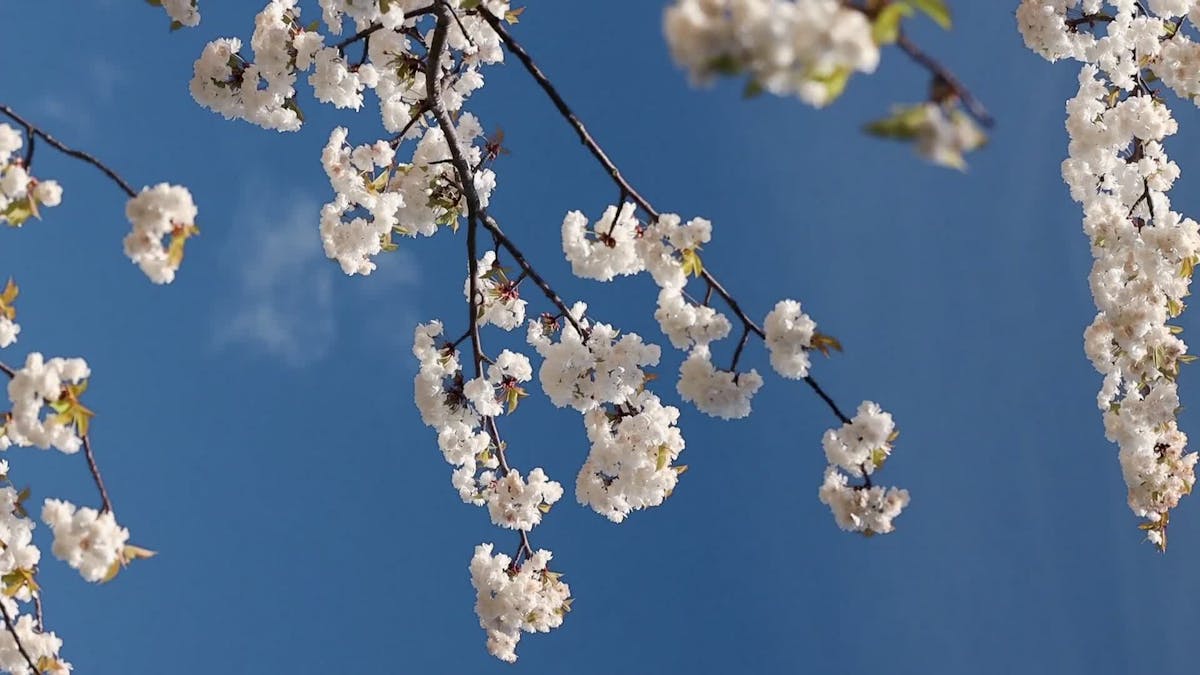 Hot+Romantic+Boobs+Pressing+Video Videos, Download The BEST Free 4k