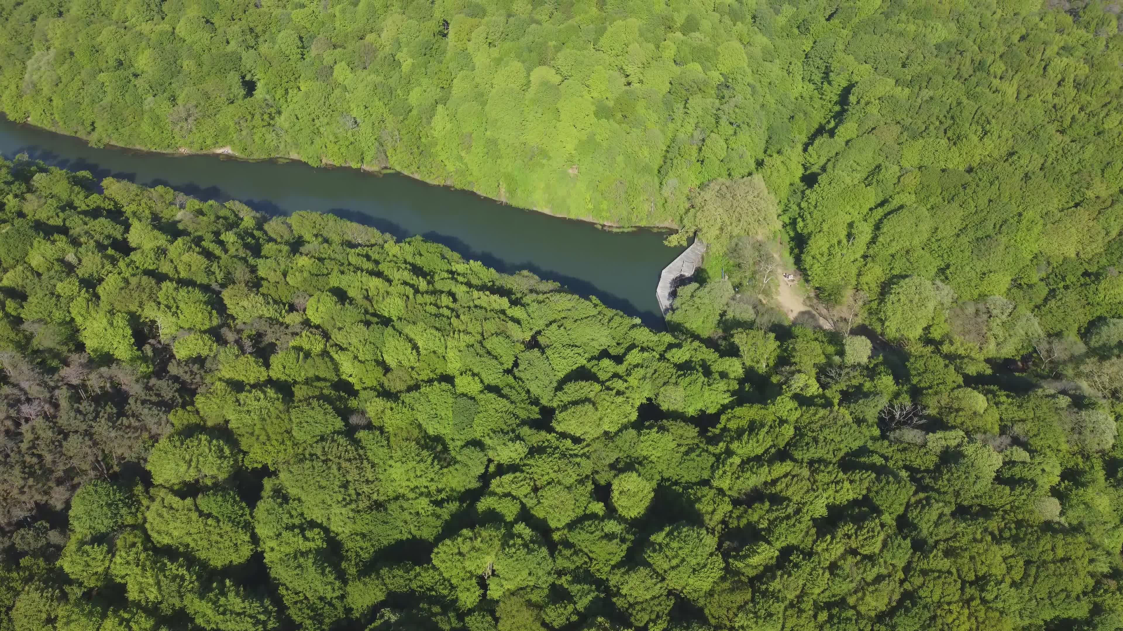 Stunning Drone View of Green Forest and River Free Stock Video Footage ...