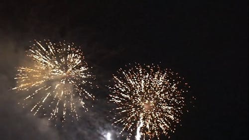 Fireworks Display In The Air On A Dark Night