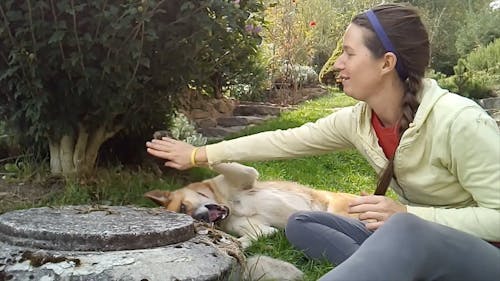 Uma Mulher Brincando Com Seu Cachorro Em Um Jardim