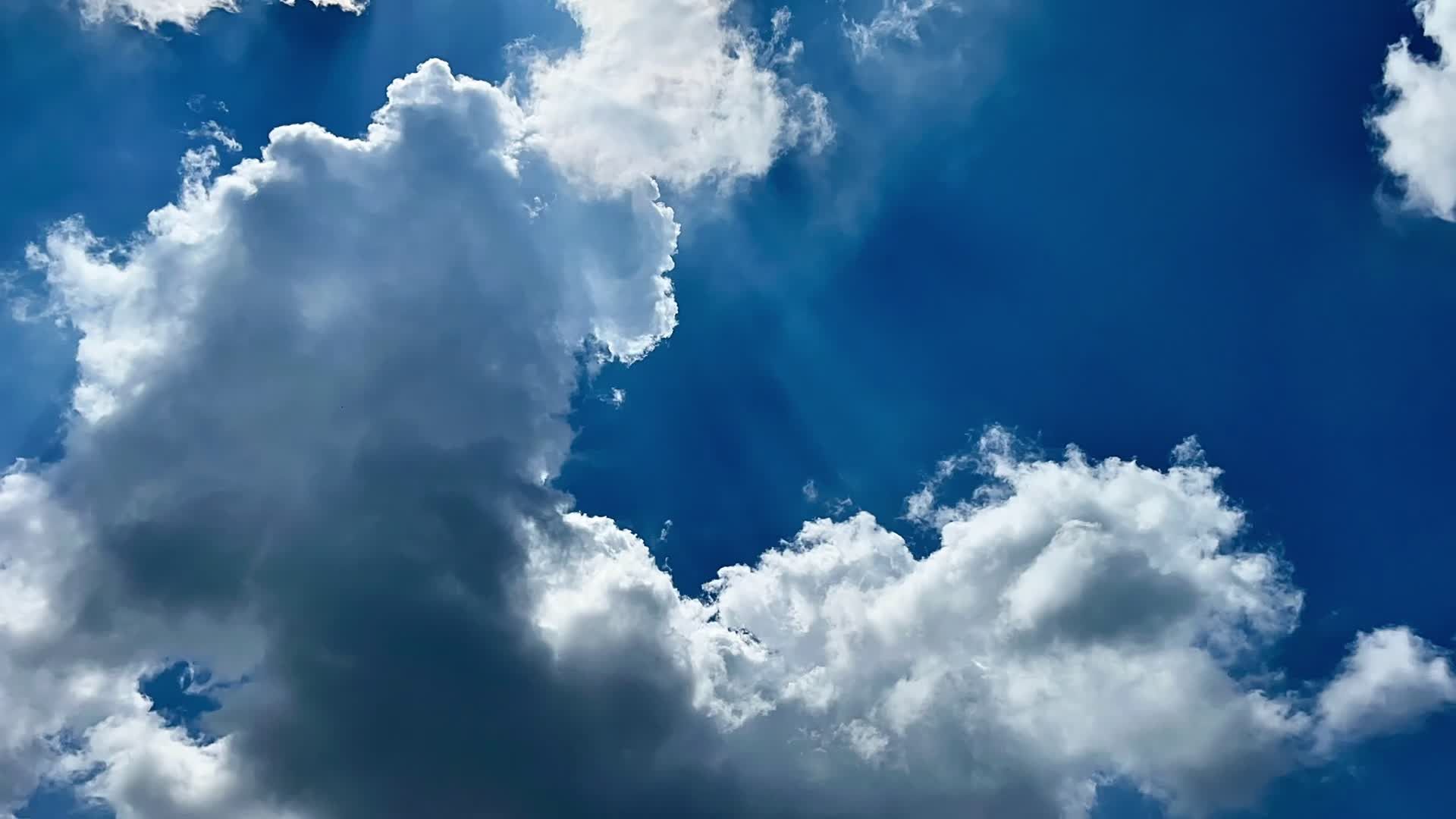 Video by Raj  Bala
