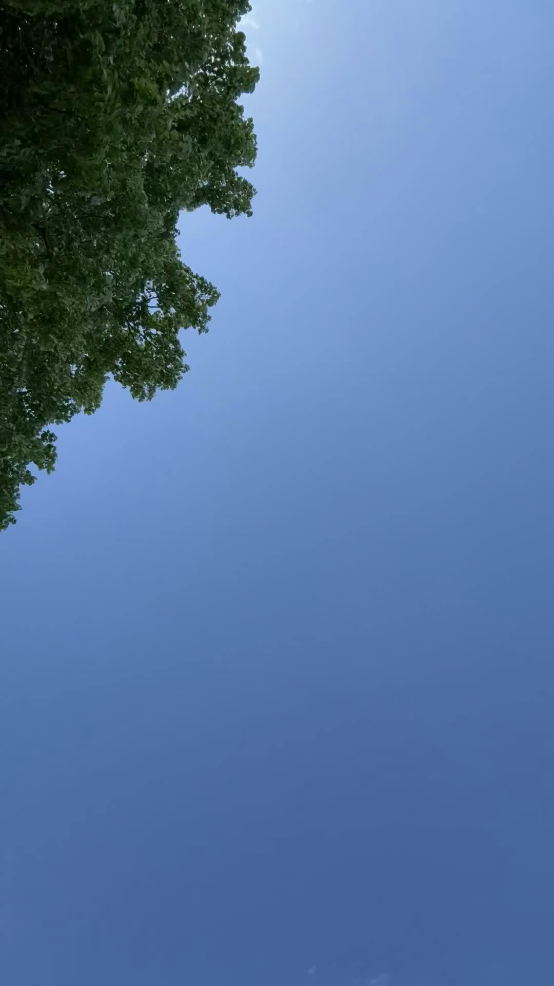 Video by Bav Vadgama