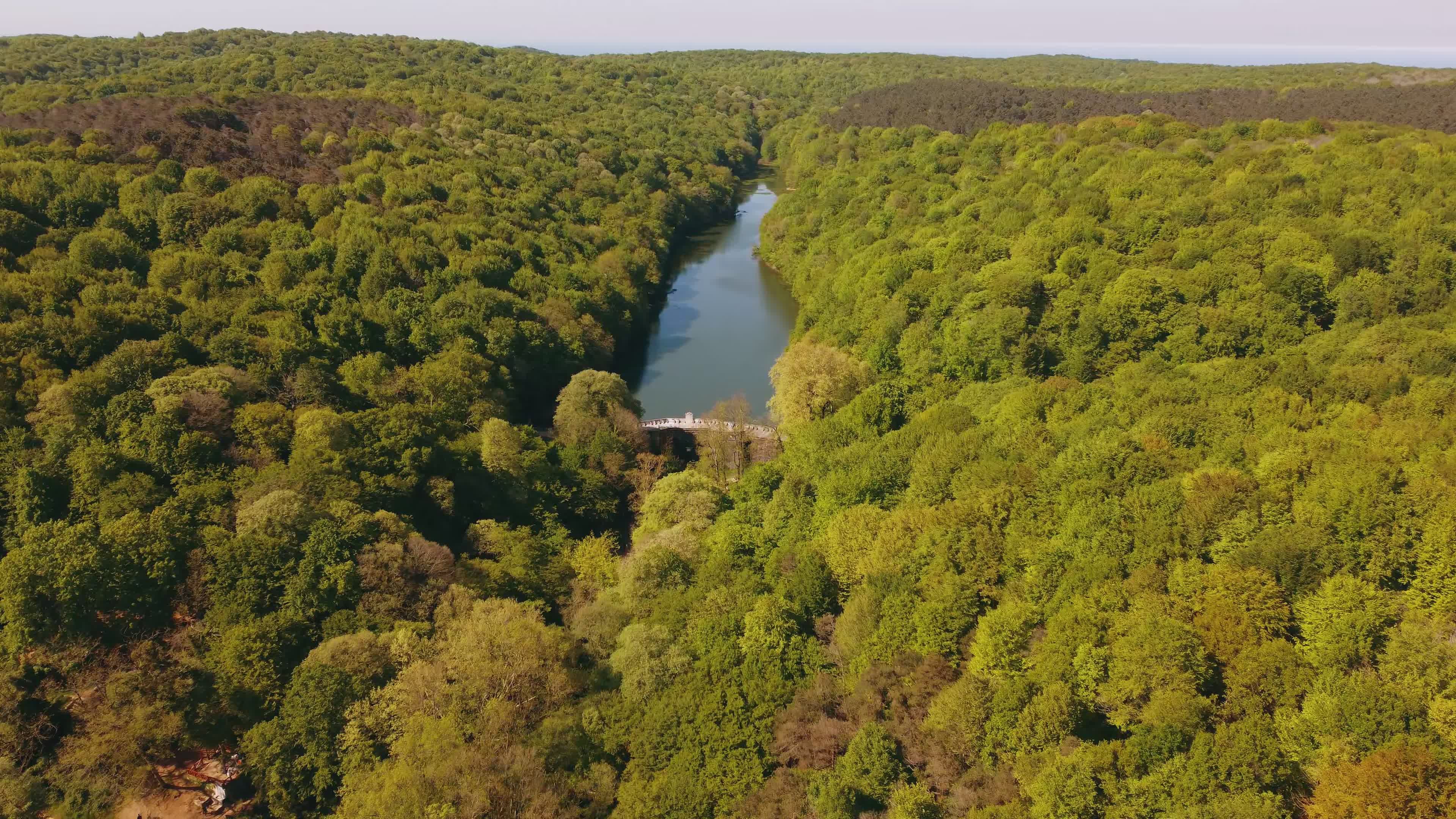 Serene Aerial View of Lush Forest and Lake Free Stock Video Footage ...