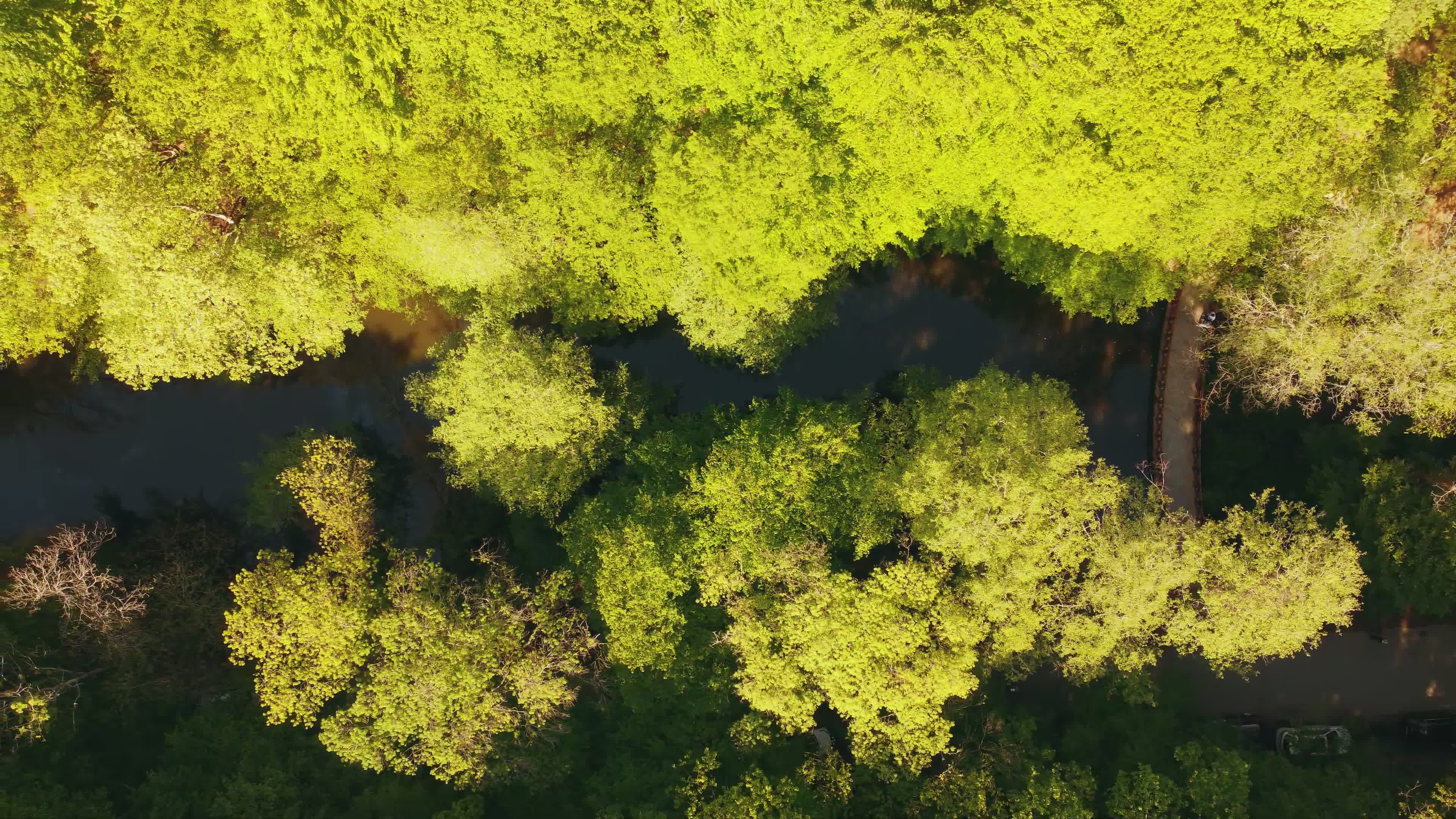 4k aerial view of lush green forest and winding lake 32011613 — free pexels stock footage