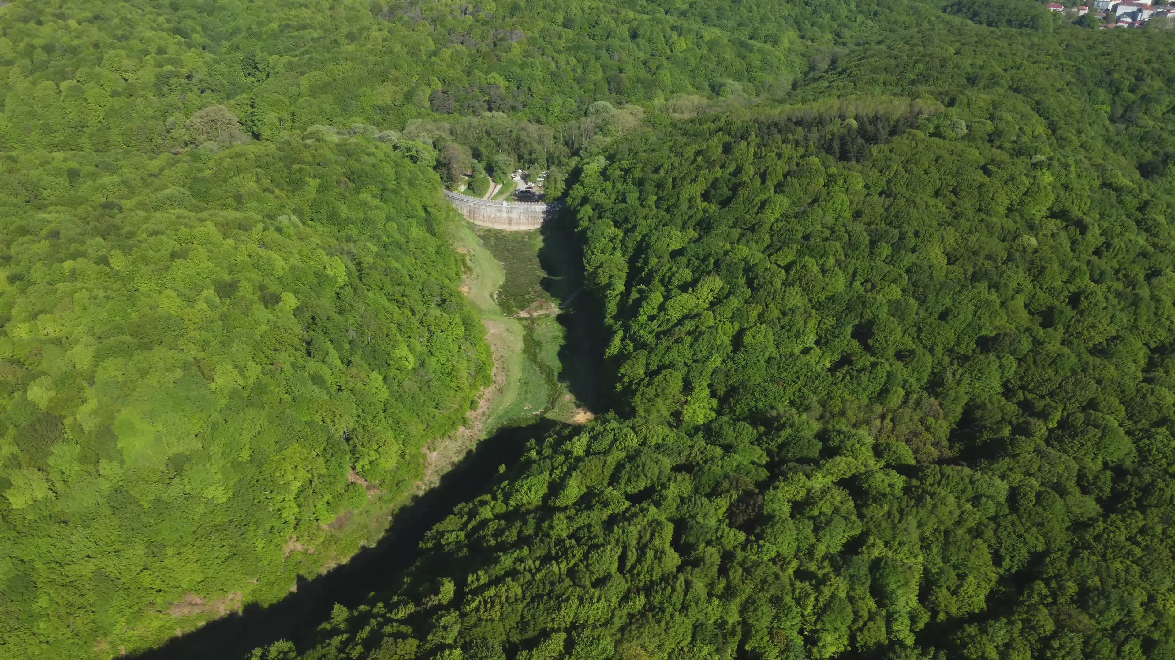 Aerial View of Lush Green Forest Landscape Free Stock Video Footage ...
