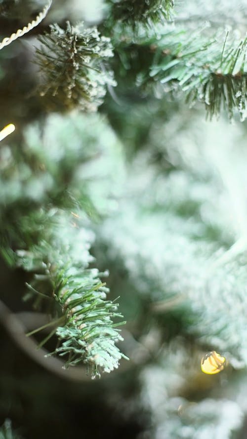 árbol De Navidad Con Nieve Y Brillos