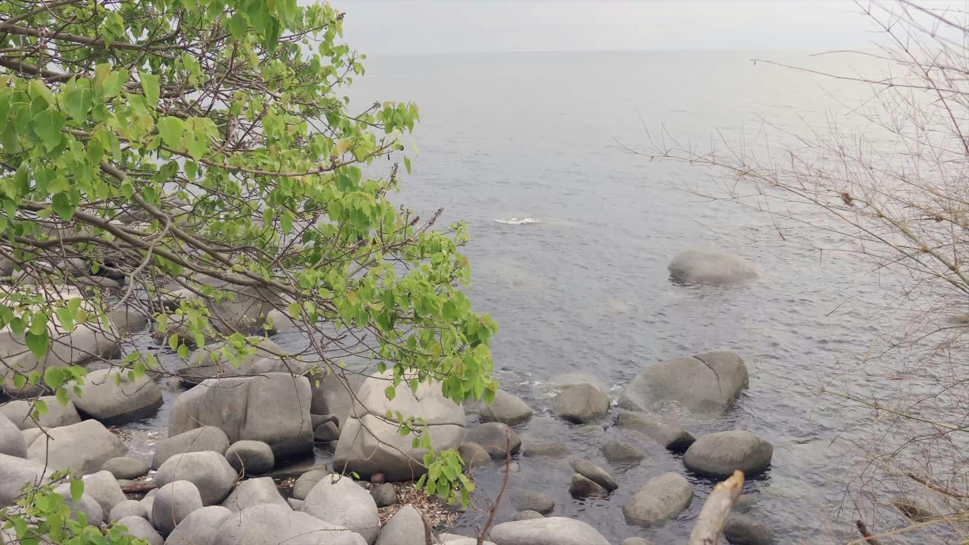 Video by NGUYỄN THÀNH NHƠN