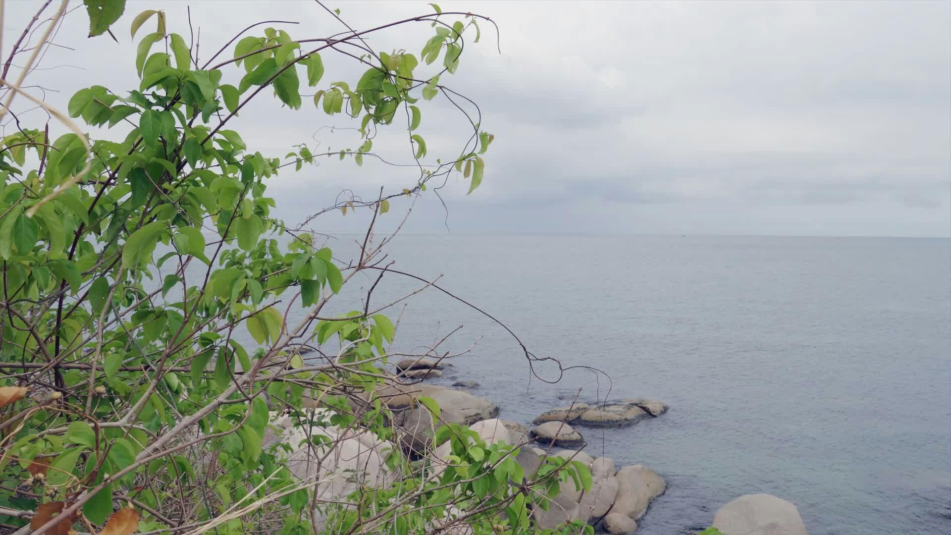 Video by NGUYỄN THÀNH NHƠN