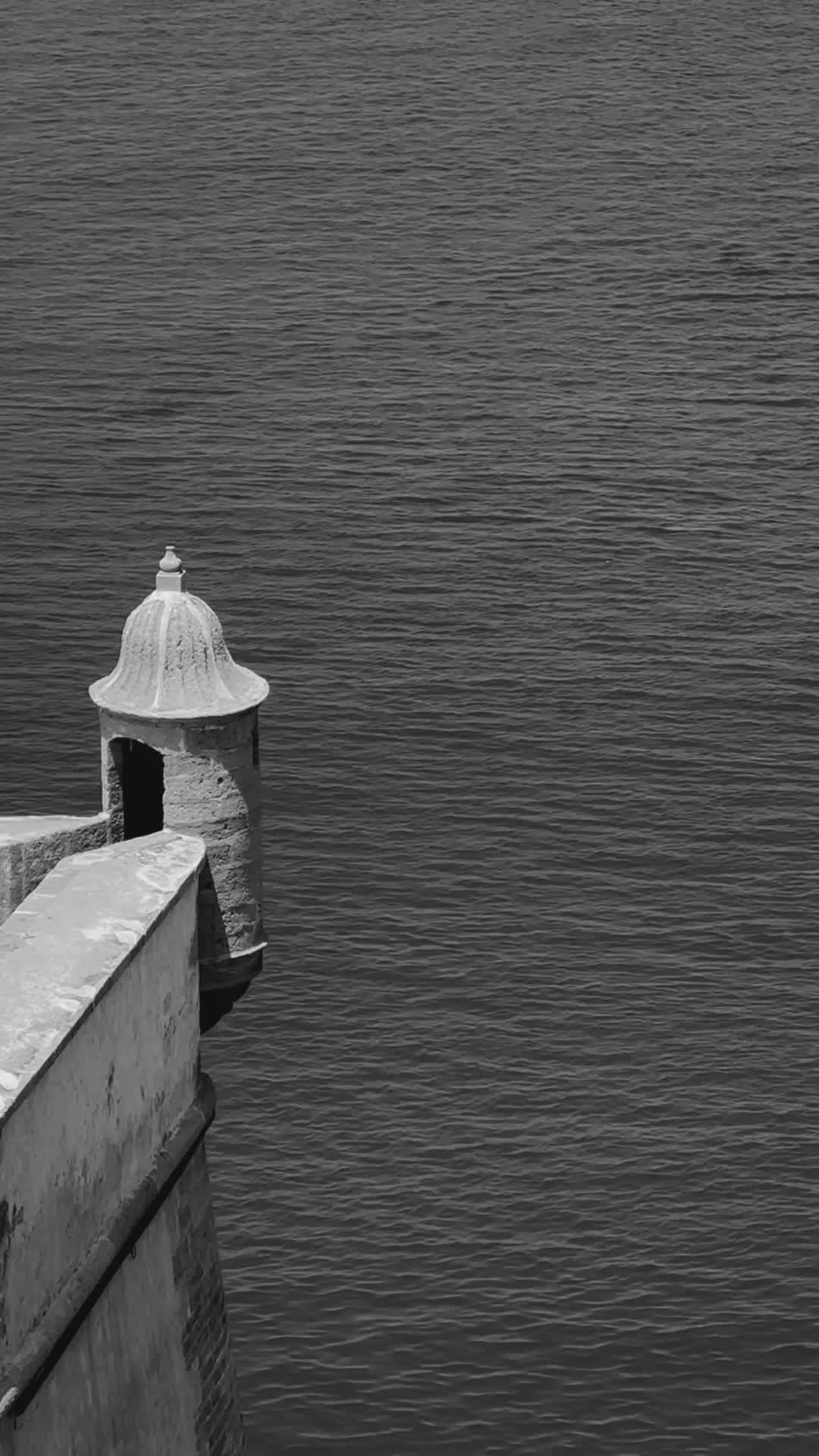 Mujeres+Bailando+Rico+Desnudas Videos, Download The BEST Free 4k Stock Video Footage & Mujeres