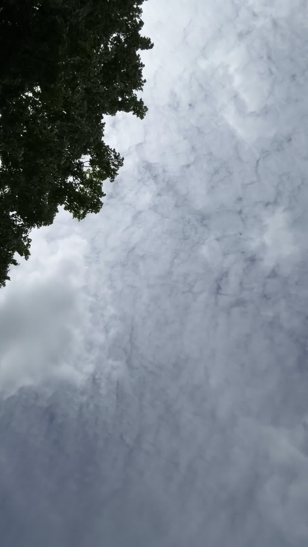 Video by Bav Vadgama